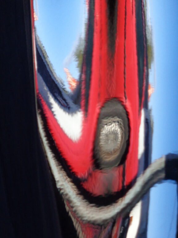 Abstract photograph 28