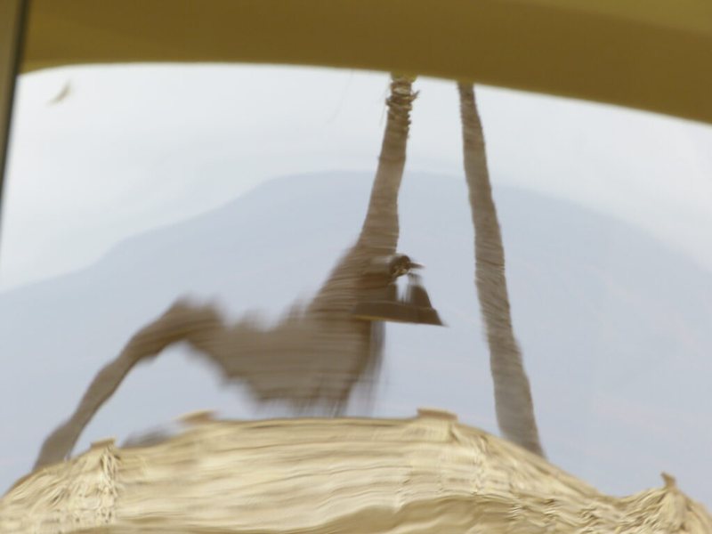 Abstract photograph 26
